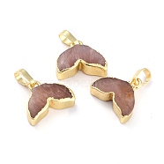 Natural Sunstone Pendants, with Golden Brass Edge Findings, Fish Tail, 12.5~13x15~15.5x5~6mm, Hole: 5x4mm(G-B012-12G-01)