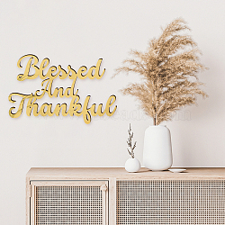 Wood & Acrylic Wall Art Decorations, for Front Porch, Living Room, Kitchen, Word Blessed and Thankful, 192x300x10mm, 2pcs/set(HJEW-WH0075-004)