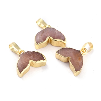 Natural Sunstone Pendants, with Golden Brass Edge Findings, Fish Tail, 12.5~13x15~15.5x5~6mm, Hole: 5x4mm