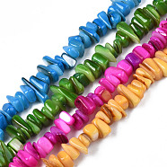 Natural Trochid Shell/Trochus Shell Beads Strands, Dyed, Chips, Mixed Color, 7~22x5~8x1~6.5mm, Hole: 1mm, about 96~102pcs/strand, 14.37 inch~15.75 inch(36.5cm~40cm)(SHEL-S258-080)