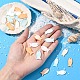 10Pcs Natural Shell Pendants(SHEL-YW0001-12)-5