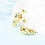 Conch Brass Stud Earrings, Cadmium Free & Lead Free, Rack Plating, Long-Lasting Plated, Golden, 19.5x10mm(EJEW-D351-07G)