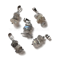 Natural Labradorite Chip Pendants, Lucky Charms with Stainless Steel Color Plated Stainless Steel Snap on Bails, 24~27x11~14x7~10mm, Hole: 7x4mm(G-H307-07P-05)