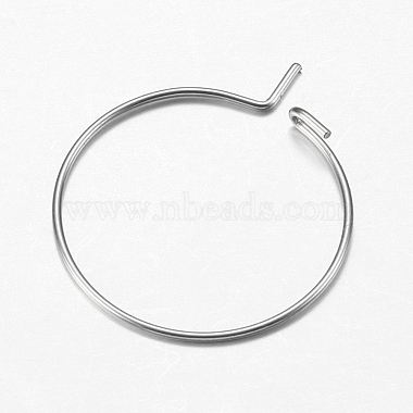316 Surgical Stainless Steel Hoop Earrings Findings(X-STAS-F149-32P-E)-3
