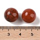 Natural Red Jasper No Hole Sphere Beads(G-K353-04B-07)-3