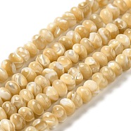 Natural Trochus Shell Beads Strands, Rondelle, Wheat, 7~7.5x4.5~5mm, Hole: 0.9mm, about 77~79pcs/strand, 15.16''~15.31''(38.5~38.9cm)(SHEL-K006-25A)