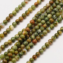 Natural Gemstone Rhyolite Jasper Round Beads Strands, 2mm, Hole: 0.8mm, about 184pcs/strand, 16 inch(G-A130-2mm-C01)
