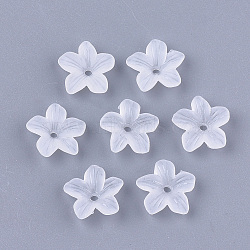 5-Petal Transparent Acrylic Bead Caps, Frosted, Flower, Clear, 11x11x3mm, Hole: 1.2mm(FACR-T001-06)