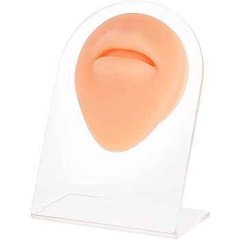 Soft Silicone Mouth Flexible Model Body Part Displays with Acrylic Stands, Jewelry Display Teaching Tools for Piercing Suture Acupuncture Practice, Saddle Brown, Stand: 5.05x8x10.5cm, Silicone Mouth: 72x61x24mm
