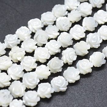 Natural White Shell Beads Strands, Mother of Pearl Shell Beads, Double-sided Rose, WhiteSmoke, 12~12.5x4~5.5mm, Hole: 1mm, about 33pcs/strand, 14.96 inch(38cm)