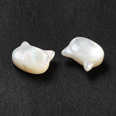 Natural White Shell Beads(SHEL-G014-10B-01)-4