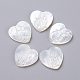 Natural White Shell Mother of Pearl Shell Cabochons(SSHEL-L017-013)-1
