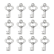 Gifts Ideas for Her Tibetan Style Alloy Charms, Cadmium Free & Nickel Free & Lead Free, Skeleton Key, Antique Silver, 15.5x9x2.5mm, Hole: 1mm(LF11975Y-NF)