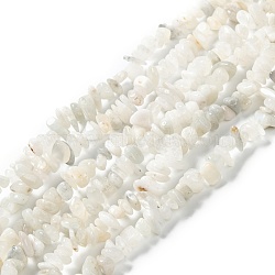 Natural Rainbow Moonstone Beads Strands, Chip, 6.5~14x5.5~7.5x1.5~6mm, Hole: 0.8mm, about 210pcs/strand, 31.50 inches(80cm)(X-G-A200-02)