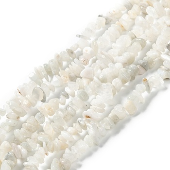 Natural Rainbow Moonstone Beads Strands, Chip, 6.5~14x5.5~7.5x1.5~6mm, Hole: 0.8mm, about 210pcs/strand, 31.50 inches(80cm)