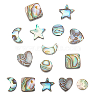 10Pcs 5 Styles Natural Abalone Shell/Paua Shell Beads Sets, Star & Heart & Square, Mixed Shapes, 8.5~10x8.5~10.5x3.5mm, Hole: 0.8~1mm, 2pcs/style(SSHEL-NB0001-43)