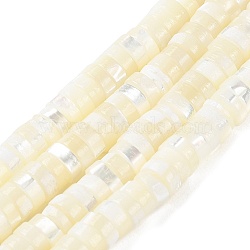 Natural Trochus Shell Beads Strands, Flat Round/Disc, Heishi Beads, Faceted, Floral White, 5~6x2~2.5mm, Hole: 1mm, about 175pcs/strand, 15.67''(39.8cm)(BSHE-E030-09A-01)