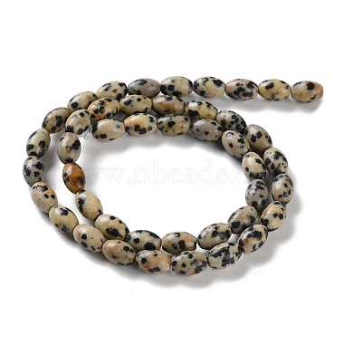 Natural Dalmatian Jasper Beads Strands(G-I369-B03-01)-3