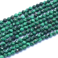 Natural Malachite Beads Strands, Faceted, Round, 3mm, Hole: 0.6mm, about 126pcs/strand, 14.96 inch(38cm)(G-I279-E15-02)