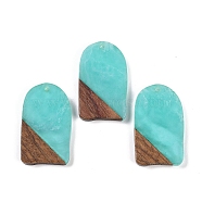 Resin & Wood Pendants, Arch Charms, Aquamarine, 38x22.5x3.5mm, Hole: 2mm(WOOD-F015-13H)