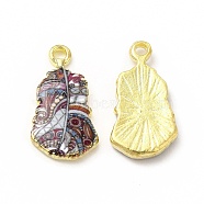 Rack Plating Alloy Pendants, Printed, Lead Free & Cadmium Free & Nickel Free, Leaf Charm, Light Gold, Colorful, 19x10.5x2.5mm, Hole: 1.6mm(FIND-H043-04LG-03)