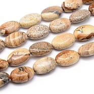 Natural Picture Jasper Flat Oval Bead Strands, 14x10x6mm, Hole: 1mm, about 29pcs/strand, 15.7 inch(G-M206-24)
