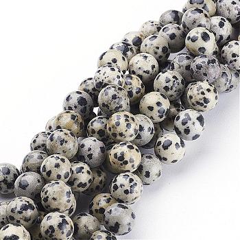 Natural Dalmatian Jasper Beads Strands, Round, 10mm, Hole: 1mm
