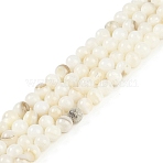 Natural Cultured Freshwater Shell Beads Strands, Round, Floral White, 5~5.5mm, Hole: 0.7mm, about 70pcs/strand, 14.96~15.04''(38~38.2cm)(BSHE-H109-03C)