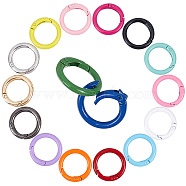 32Pcs 16 Styles Zinc Alloy Key Clasps, Spring Gate Rings, Round Ring, Mixed Color, 24.5~25x3.5~4mm, Inner Diameter: 16.5mm, 2pcs/style(FIND-CP0001-57)