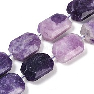 Natural Lepidolite Beads Strands, Faceted, Rectangle, with Seed Beads, 21~22x15~17x7~8mm, Hole: 1mm, about 16~20pcs/strand, 15.35~15.75''(39~40cm)(G-B125-P25-01)