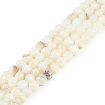Natural Cultured Freshwater Shell Beads Strands, Round, Floral White, 5~5.5mm, Hole: 0.7mm, about 70pcs/strand, 14.96~15.04''(38~38.2cm)
