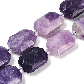 Natural Lepidolite Beads Strands, Faceted, Rectangle, with Seed Beads, 21~22x15~17x7~8mm, Hole: 1mm, about 16~20pcs/strand, 15.35~15.75''(39~40cm)