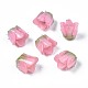 Perles en plastique(X-KY-N015-037F)-1