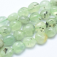 Natural Prehnite Beads Strands, Nuggets, 10~16x7~14mm, Hole: 0.8mm, about 25~35pcs/strand, 15.7 inch(40cm)(G-E483-71)