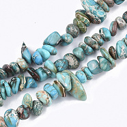 Natural Imperial Jasper Beads Strands, Dyed, Chip, Sky Blue, 7~23x5~12x2~8mm, Hole: 1mm, about 81~88pcs/strand, 15.7 inch(G-S355-08)