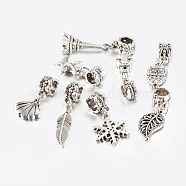 Tibetan Style Alloy Pendants, Mixed Shapes, Antique Silver, 25~38mm, Hole: 5.5mm(PALLOY-F199-10AS)