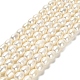 Natural Cultured Freshwater Pearl Beads Strands(PEAR-E016-171)-1