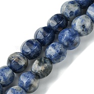 Natural Blue Spot Jasper Beads Strands, Faceted, Round, 10mm, Hole: 1.3mm, about 40pcs/strand, 16.14~16.22''(41~41.2cm)(G-H023-A07-01)