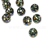 Natural Abalone Shell Beads, Abalone Shell/Paua ShellRound Beads, Colorful, 10mm(SSHEL-E437-1)