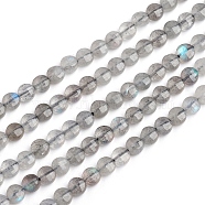 Natural Labradorite Beads Strands, Flat Round, Faceted, 4x3mm, Hole: 0.8mm, about 88pcs/strand, 14.57 inch(37cm)(G-E560-C08-4mm)