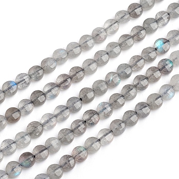 Natural Labradorite Beads Strands, Flat Round, Faceted, 4x3mm, Hole: 0.8mm, about 88pcs/strand, 14.57 inch(37cm)
