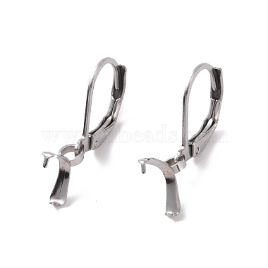 Stainless Steel Color 304 Stainless Steel Leverback Earring Findings