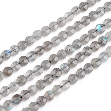 4mm Flat Round Labradorite Beads