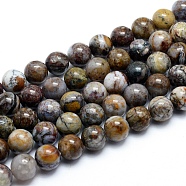 Natural Pietersite Beads Strands, Round, 10mm, Hole: 1mm, about 38pcs/strand, 15.75 inch(40cm)(G-G823-05-10mm)