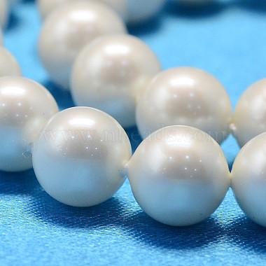 Round Shell Pearl Bead Strands(BSHE-L011-10mm-A013A)-4