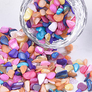 Shell Beads, For Nail Art Decoration Accessories, No Hole/Undrilled, Dyed, Chips, Colorful, 2~13x2~5x0.5~4mm, about 450g/bag(MRMJ-S034-06G)