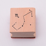 Wooden Stamps, with Rubber, Square with Twelve Constellations, Scorpio, 30x30x24mm(DIY-WH0175-46H)