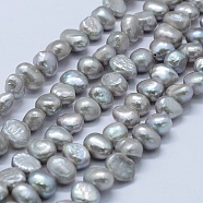 Natural Cultured Freshwater Pearl Beads Strands, Dyed, Two Sides Polished, Silver, 5~7x5~7x5~7mm, Hole: 0.2mm, about 53pcs/strand, 13.9 inch(PEAR-K004-13E)