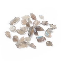 Natural Labradorite Beads, No Hole, 9x7mm(G-I304-08)