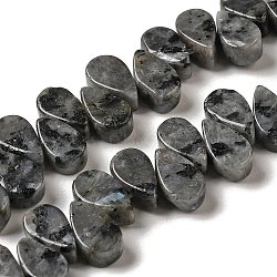 Natural Larvikite Beads Strands, Teardrop, Top Drilled, 9~10x5~5.5x3.5~4mm, Hole: 0.7mm, about 40~48pcs/strand, 7.09~7.28''(18~18.5cm).(G-B064-B63)